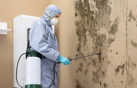 Best Mold Odor Removal Services  in USA